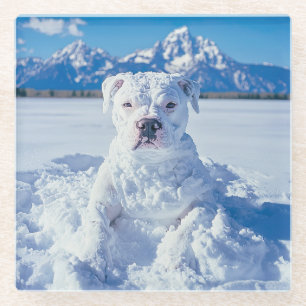 Kerst Pitbull Dog Snowman Glazen Onderzetter