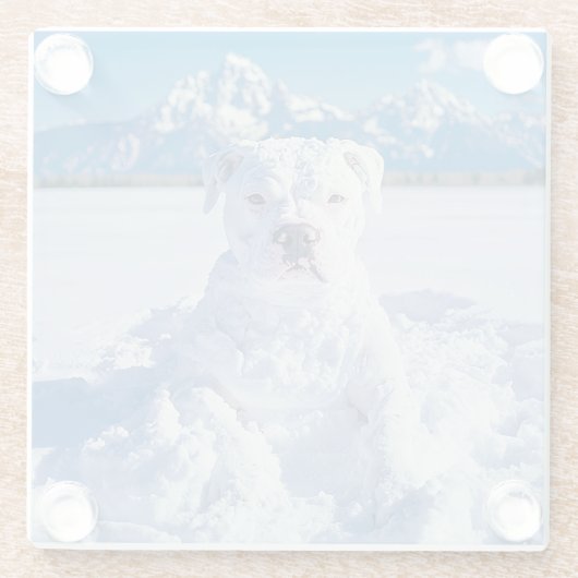 Kerst Pitbull Dog Snowman Glazen Onderzetter (Achterkant)