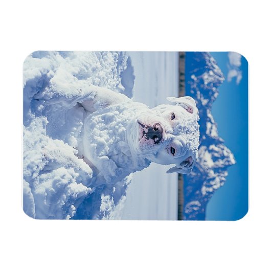 Kerst Pitbull Dog Snowman Magneet (Horizontaal)