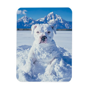 Kerst Pitbull Dog Snowman Magneet