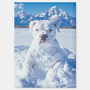 Kerst Pitbull Dog Snowman Magneet
