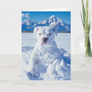 Kerst Pitbull Dog Snowman Notitiekaartje