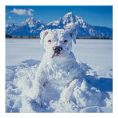 Kerst Pitbull Dog Snowman Perfect Poster (Voorkant)