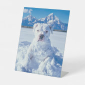 Kerst Pitbull Dog Snowman Reclamebord Met Voetstuk (Voorkant)