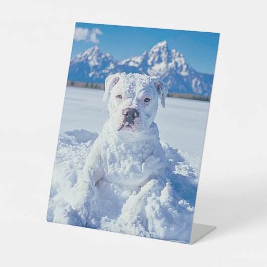 Kerst Pitbull Dog Snowman Reclamebord Met Voetstuk (Voorkant)