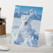 Kerst Pitbull Dog Snowman Reclamebord Met Voetstuk (Insitu)
