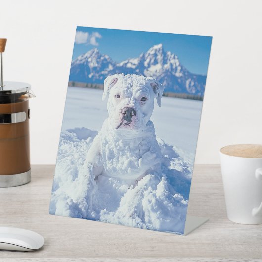 Kerst Pitbull Dog Snowman Reclamebord Met Voetstuk (Insitu)