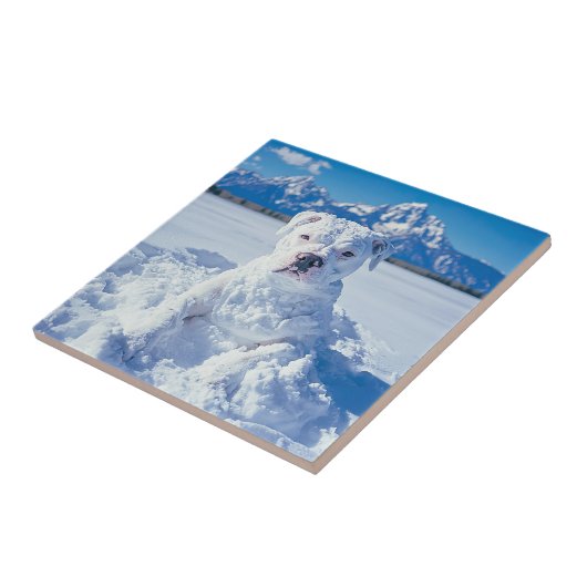 Kerst Pitbull Dog Snowman Tegeltje (Zijkant)