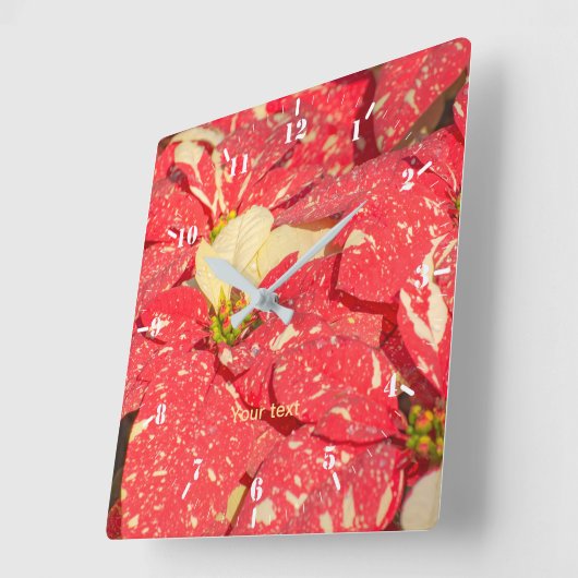 Kerst plant Poinsettia Flower Vierkante Klok (Hoek)