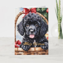 Kerst Poedel puppy in een mand