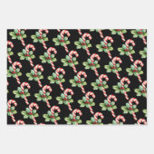 KERST POINSETTIA, HOLLY, CANDY CANE OP ZWART INPAKPAPIER VEL (Voorkant 3)