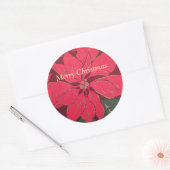 Kerst Poinsettia - Ronde Sticker (Envelop)