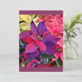 Kerst Poinsettia's Feestdagenkaart (Staand voorkant)