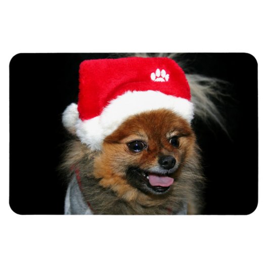 Kerst pomeraanse flexibele fotomagneet magneet (Horizontaal)