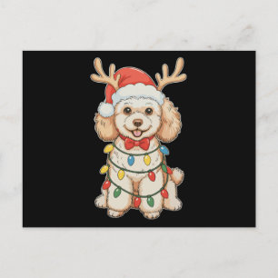 Kerst Poodle Rendier Hond Kerstman Hoed Kerst Lich Feestdagenkaart