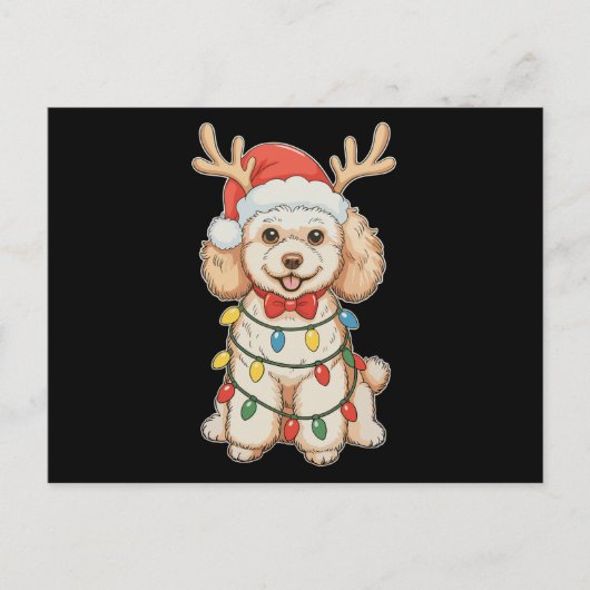 Kerst Poodle Rendier Hond Kerstman Hoed Kerst Lich Feestdagenkaart (Voorkant)