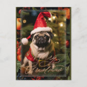 Kerst Pug Elf Feestdagenkaart (Voorkant)