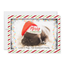 Kerst Pug in Santa-hoed met Kerstverlichting