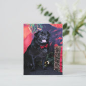 Kerst - Pug - Little Moe Feestdagenkaart (Staand voorkant)