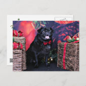 Kerst - Pug - Little Moe Feestdagenkaart (Voorkant / Achterkant)