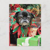 Kerst - Pug - Michaelis Feestdagenkaart (Voorkant)