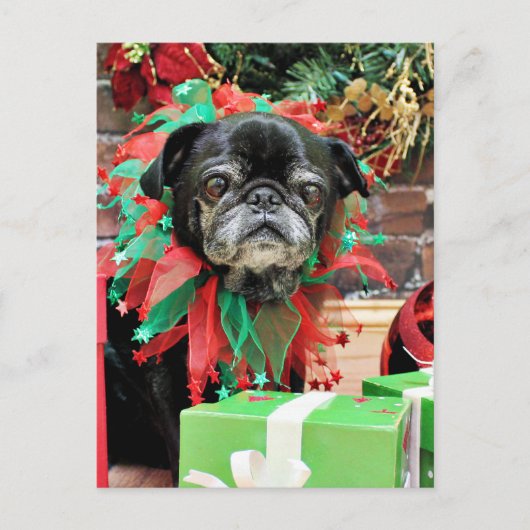 Kerst - Pug - Michaelis Feestdagenkaart (Voorkant)