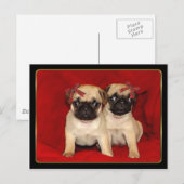 Kerst pug puppies feestdagenkaart (Voorkant / Achterkant)