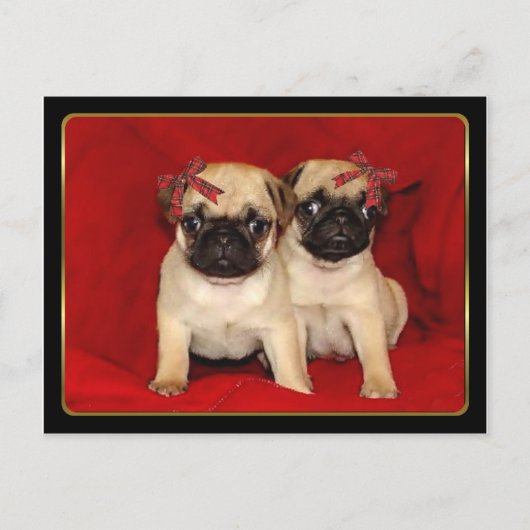 Kerst pug puppies feestdagenkaart (Voorkant)