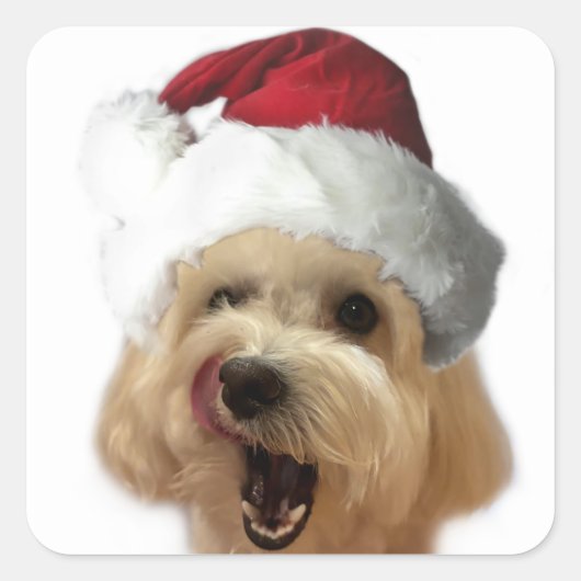 Kerst Puppy Sticker Blad! (Voorkant)