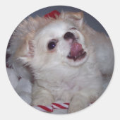 Kerst Puppy Stickers (Voorkant)