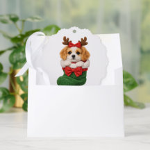 Kerst Puppy Winter Brei