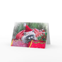 Kerst Raccoon loungen in Santa's Sleigh