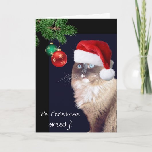Kerst Ragdoll Kat Humor Kaart (Voorkant)