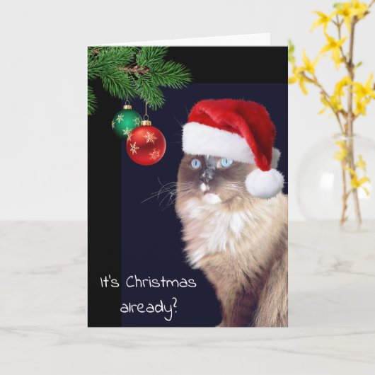 Kerst Ragdoll Kat Humor Kaart (Gele Bloem)