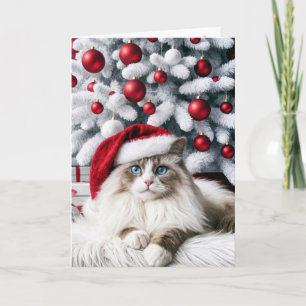 Kerst Ragdoll Kat In Een Kerstman Hoed Kaart