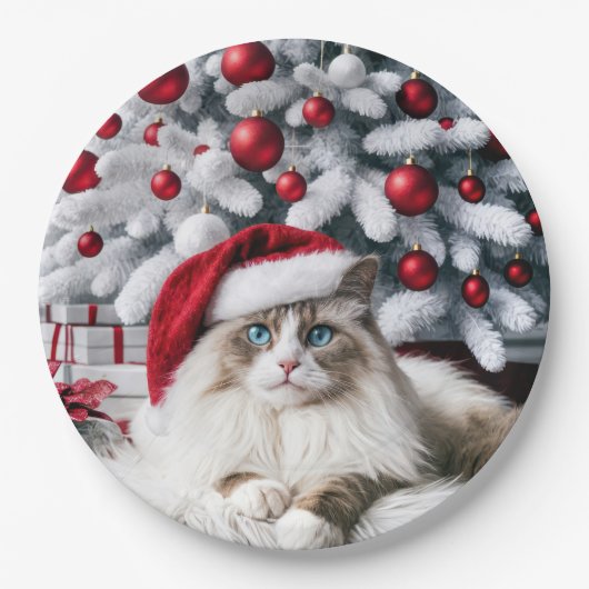 Kerst Ragdoll Kat In Een Kerstman Hoed Papieren Bordje (Voorkant)