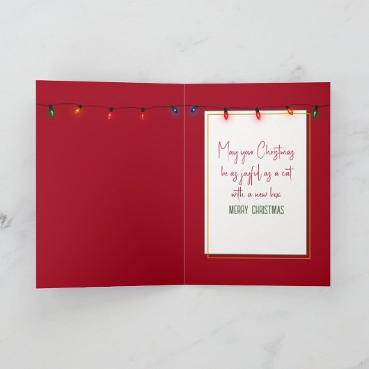 Kerst Ragdoll Kat in Kartonnen Doos Kaart (Binnen)