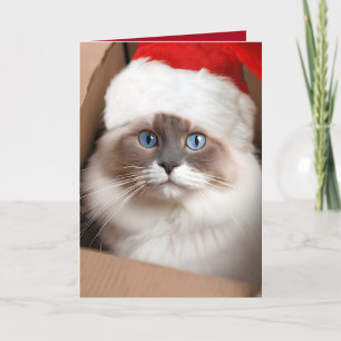 Kerst Ragdoll Kat in Kartonnen Doos Kaart