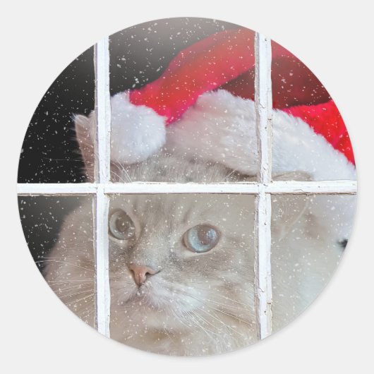 Kerst Ragdoll Kat in venster Ronde Sticker (Voorkant)