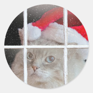 Kerst Ragdoll Kat in venster Ronde Sticker