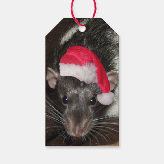 Kerst rat cadeau labels (verpakking van 10) cadeaulabel (Voorkant)