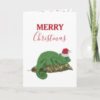 Kerst Reptielen, Hagedissen & Amfibieën