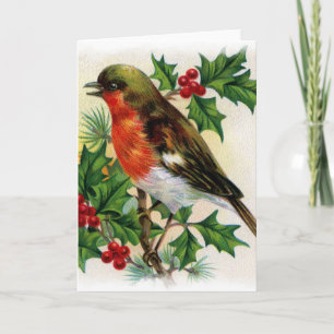 Kerst Robin  Illustratie Feestdagen Kaart