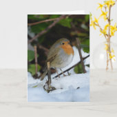 Kerst Robin in de sneeuw Kaart (Gele Bloem)