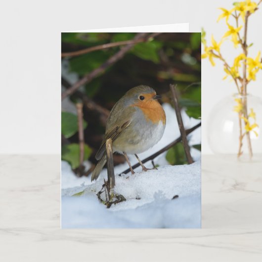 Kerst Robin in de sneeuw Kaart (Gele Bloem)