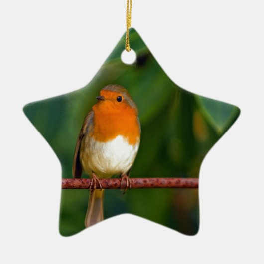Kerst Robin Keramisch Ornament (Voorkant)