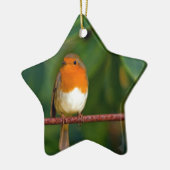 Kerst Robin Keramisch Ornament (Links)