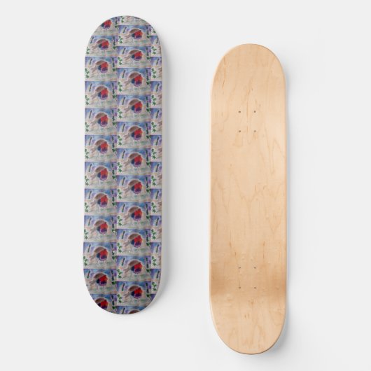 Kerst Robin Skateboard (Voorkant)