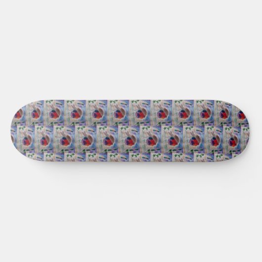 Kerst Robin Skateboard (Horizontaal)