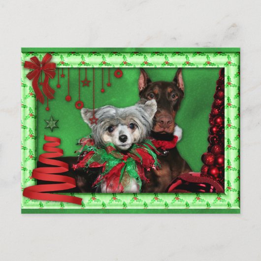 Kerst - Rode lintboom - Doberman Crestie Feestdagenkaart (Voorkant)